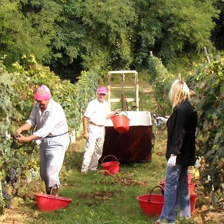 Cascina Bella Vista *