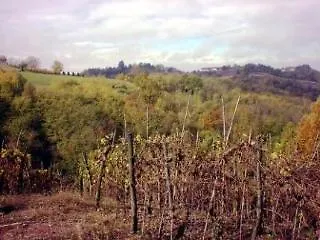 Cascina Bella Vista Cioccaro Di Penango